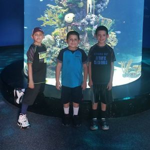 Meet your Posher, Carolydavid